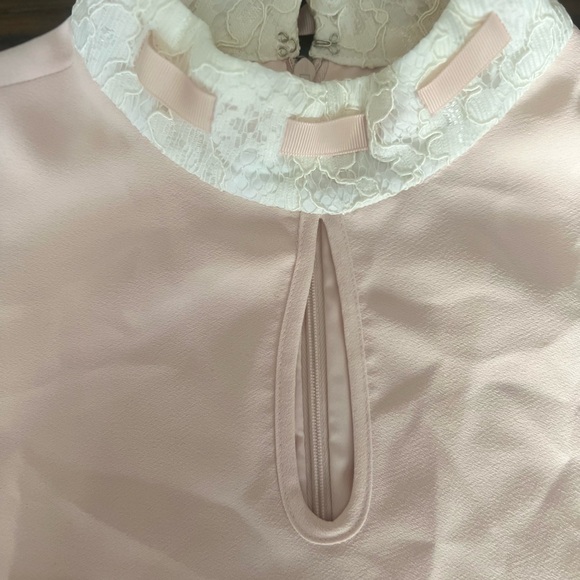 NWT Pink Pleated Trim Dress - Picture 7 of 8